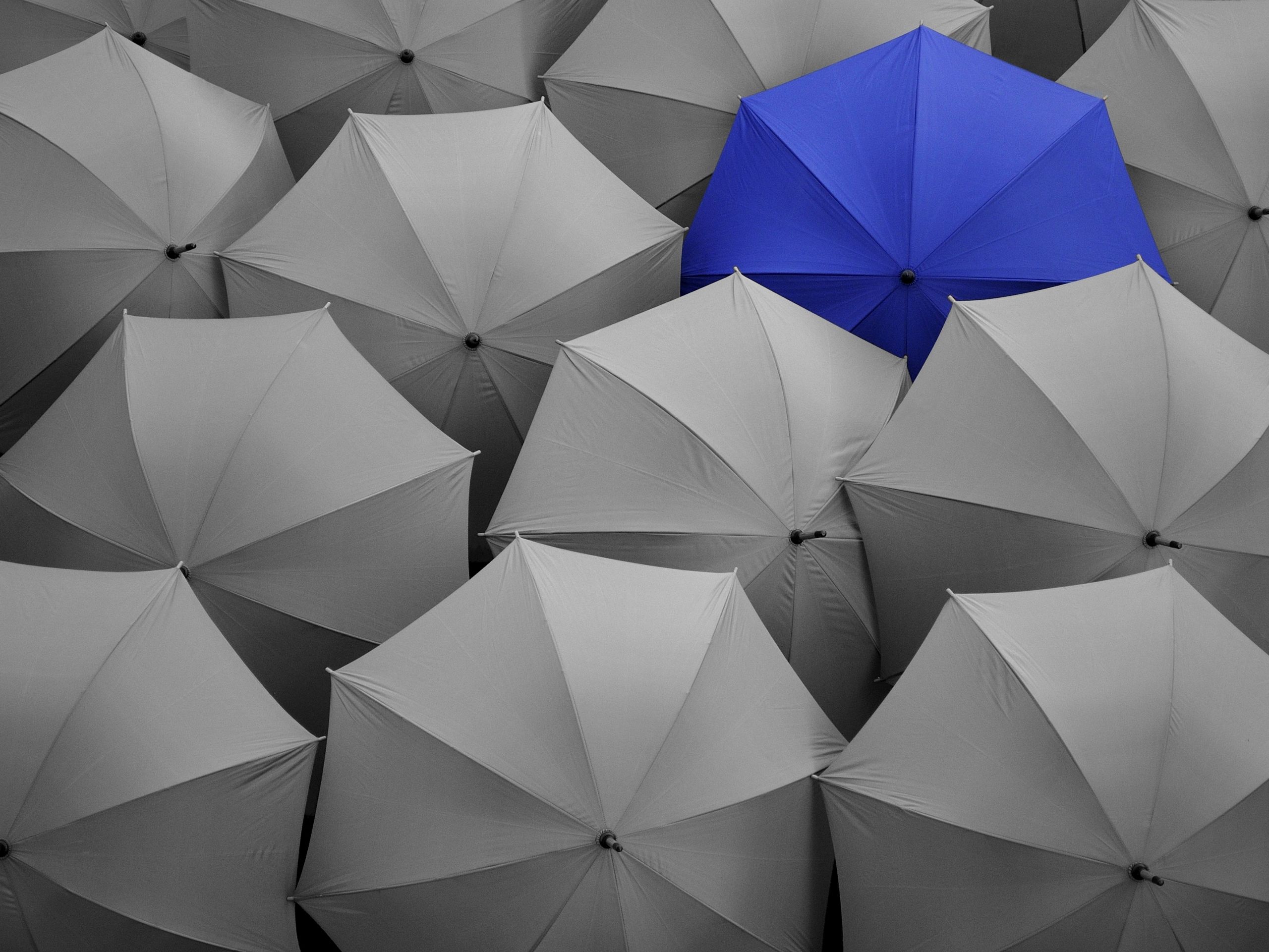 Unslashed Finance insurance protocol interface